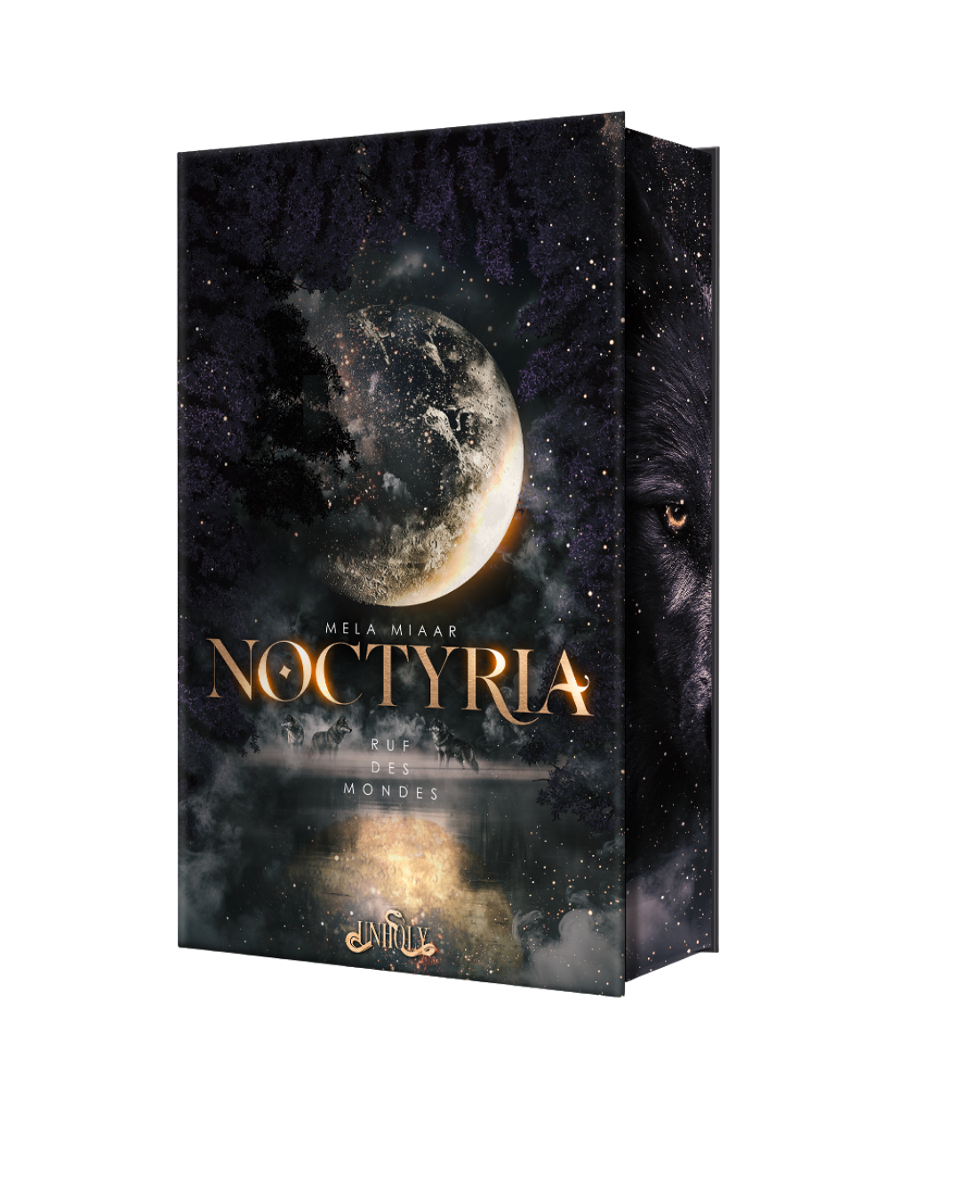 Noctyria - Ruf des Mondes / Romantasy - ! VORBESTELLUNG!